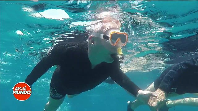 Haciendo snorkel con los delfines en Eilat | Mejores Momentos