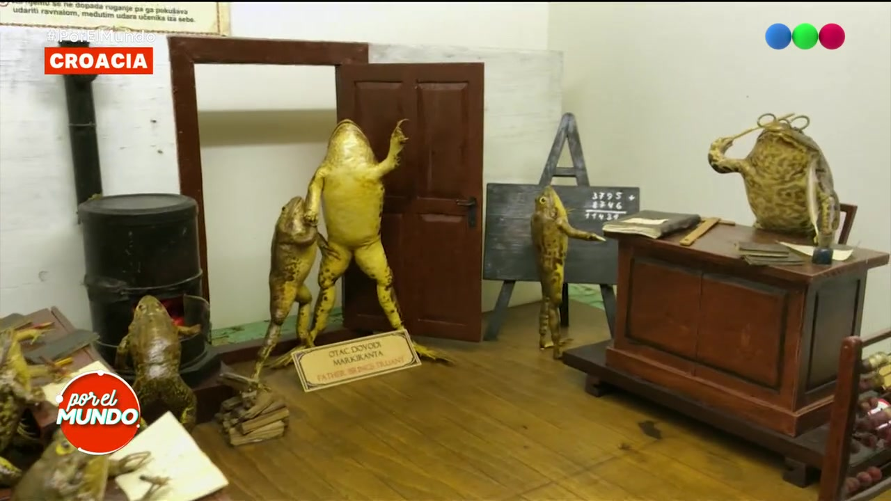 Un museo de... ¡Ranas! | Mejores Momentos