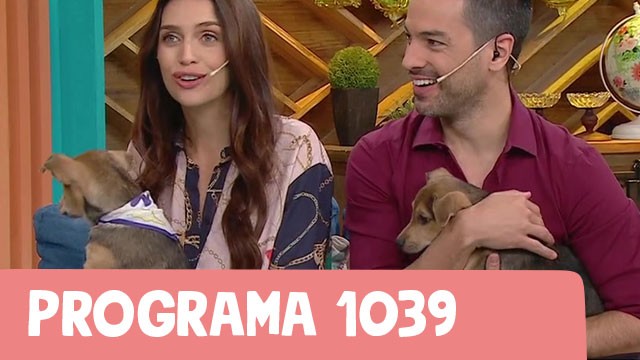 Programa 1039 | Programas