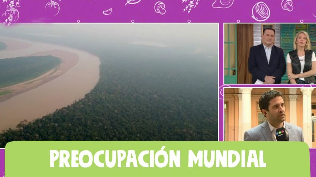 ¿Qué consecuencias va a tener el incendio en el Amazonas? | Actualidad