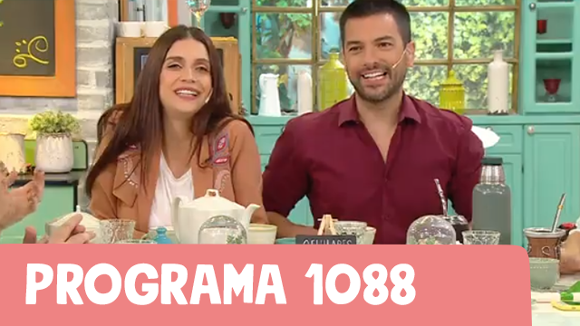 Programa 1088 | Programas