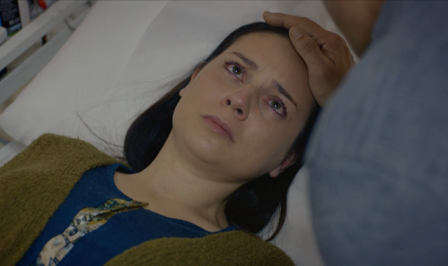 Capítulo 228 | Capítulos