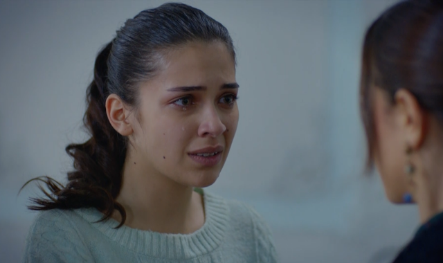 Capítulo 229 | Capítulos