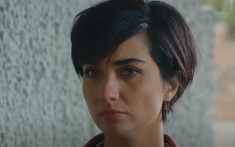 Capítulo 14 | Capítulos