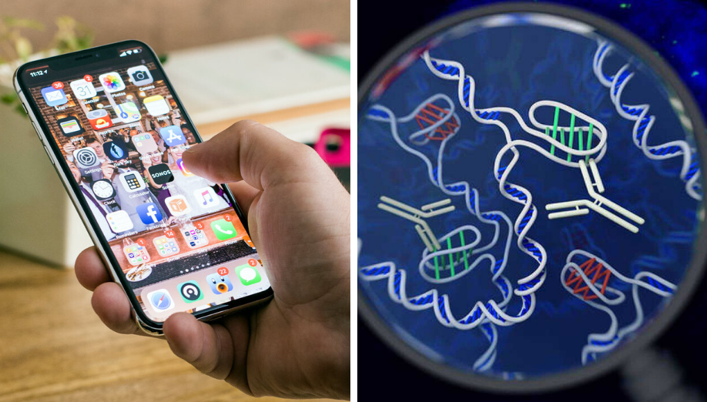 Una app de citas hará “match” según tu tipo de ADN | Sociedad