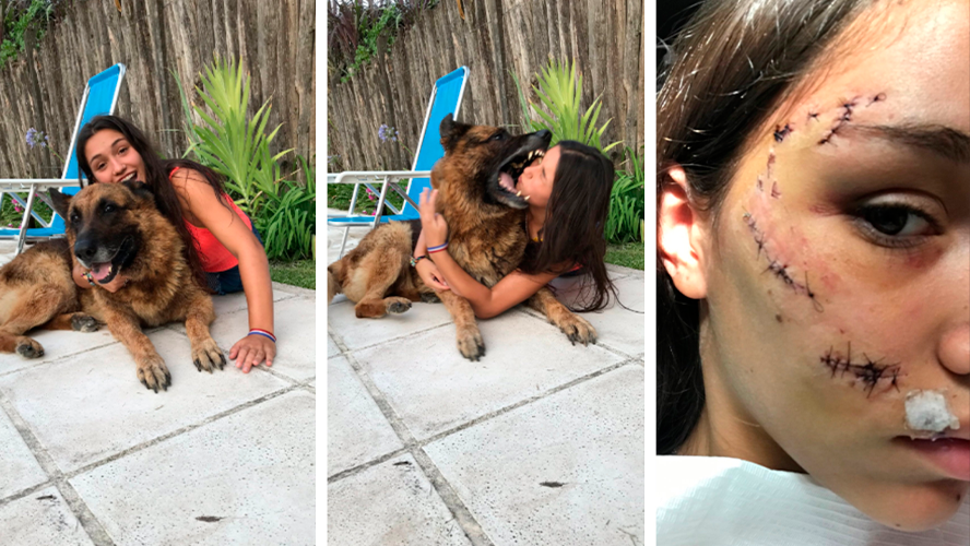 La sesión de fotos que terminó de la peor manera | Virales