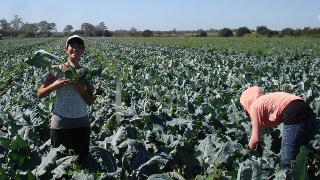 El emotivo festejo de un campesino por la lluvia | Virales