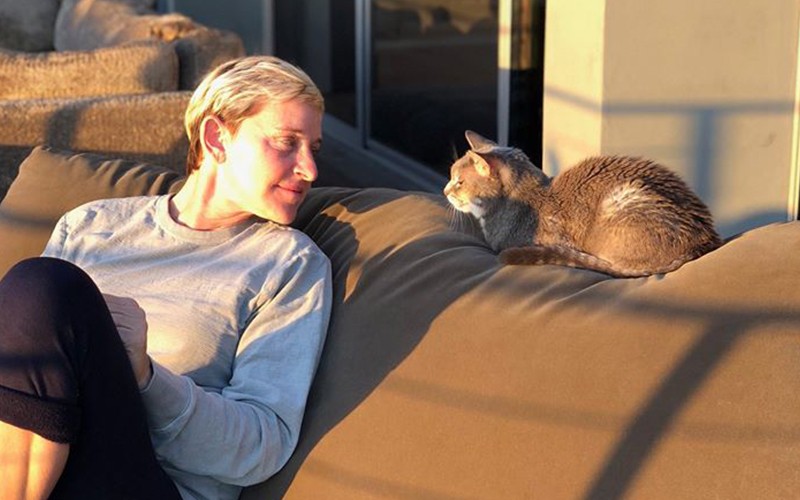 Ellen DeGeneres despidió a su mascota y convulsionó las redes | Influencers
