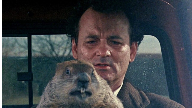 27 años después vuelve Bill Murray en “El día de la marmota” | Cine & Series
