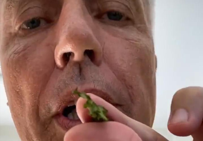 ¿Qué está probando Marley? | Espectáculos