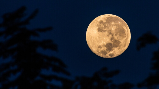 Superluna de nieve: cuándo y desde dónde verla | Sociedad