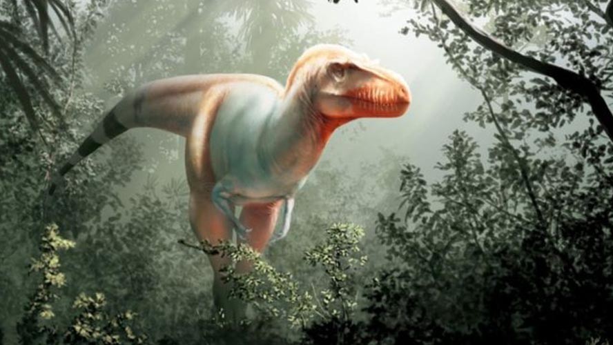 Hallaron en Canadá al dinosaurio "Segador de la muerte" | Sociedad