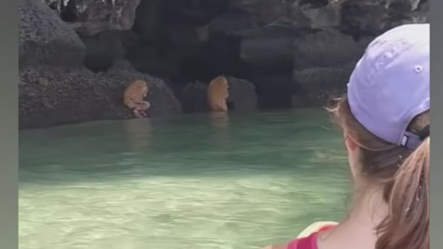 Ritual con extrañas criaturas en Tailandia | Virales