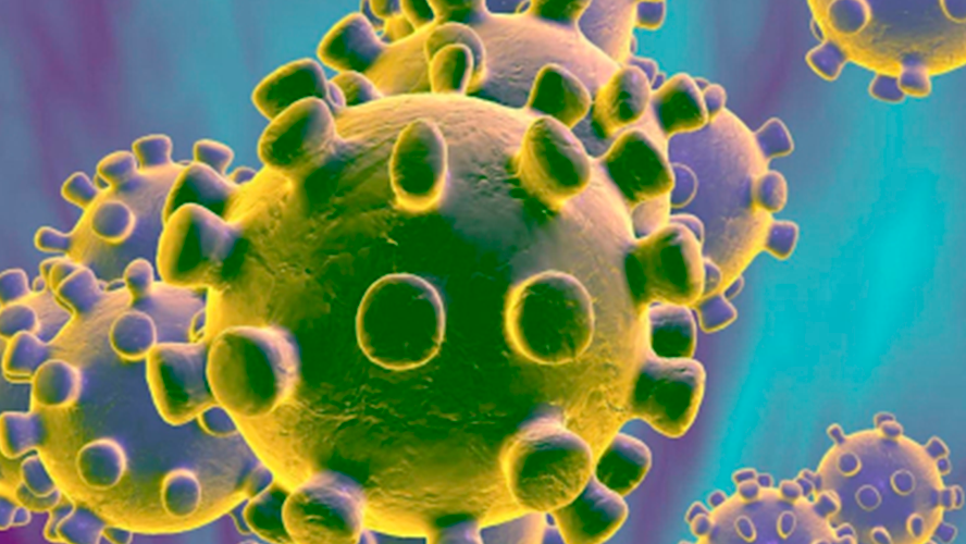 La polémica por la famosa cuenta del coronavirus en Twitter | Virales