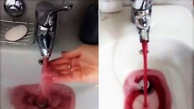 Increíble pero real: en Italia comenzó a salir vino de la canilla | Virales