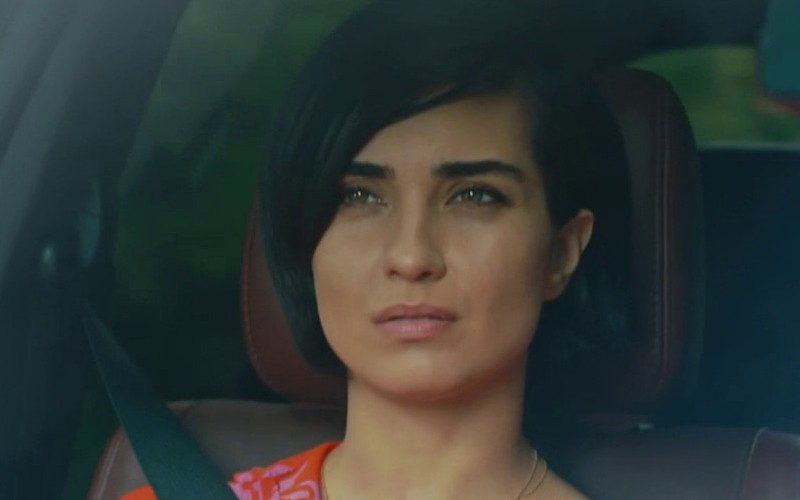 Capítulo 104 | Capítulos