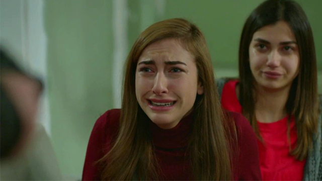 Capítulo 391 | Capítulos