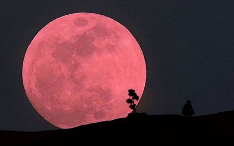 Qué es la super luna rosa y cuándo podremos verla | Sociedad