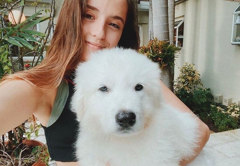 El tierno baño de los perritos de Ricardo Montaner | Espectáculos