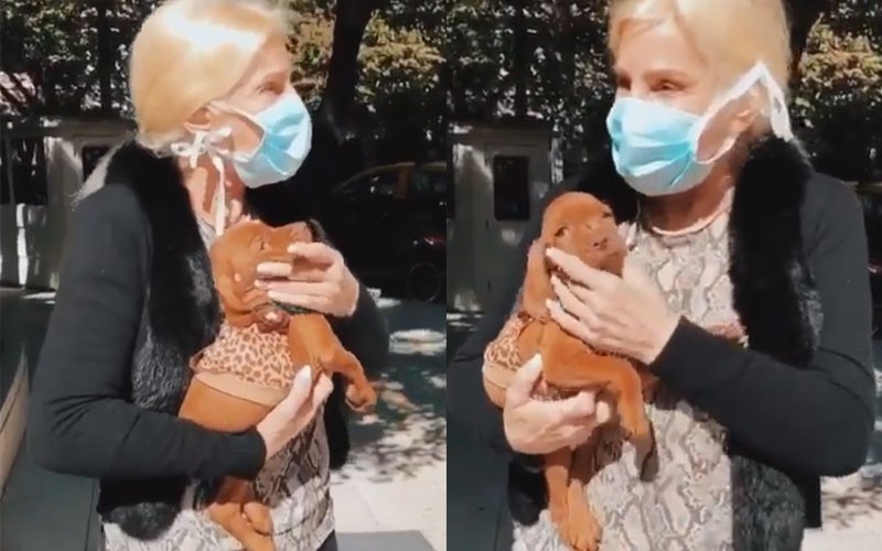 La nueva compañía de Susana Giménez en cuarentena | Espectáculos