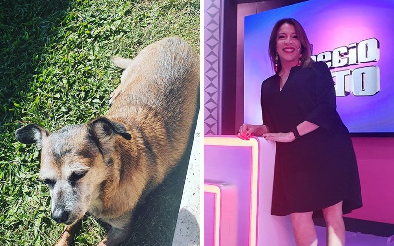 El tierno posteo de Lizy a su perra de casi 20 años | Espectáculos