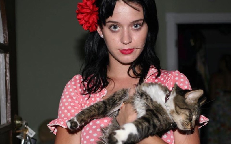 La tristeza de Katy Perry por la muerte de su gatita | Espectáculos