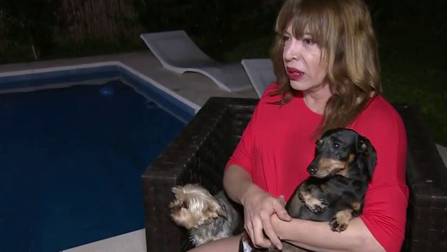 El perro de Lizy que casi se escapa | Exclusivos