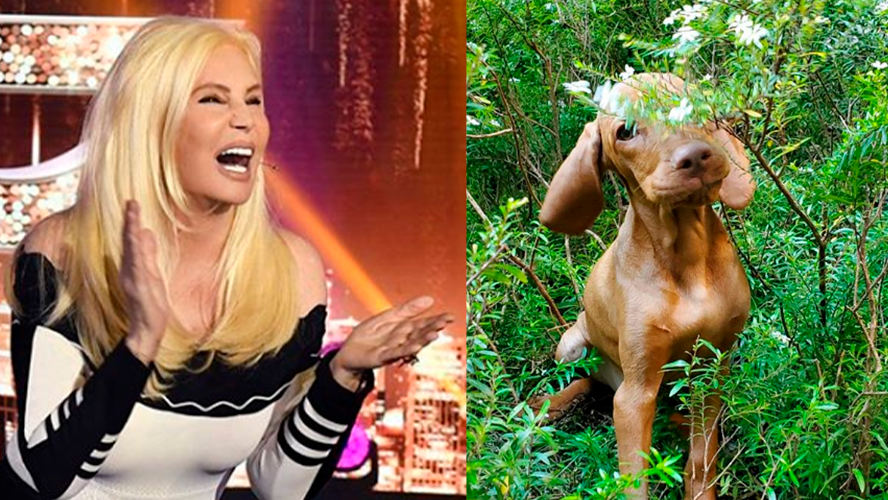 Susana Giménez y Rita se reencontraron | Espectáculos