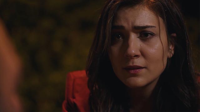 Capítulo 01 | Capítulos