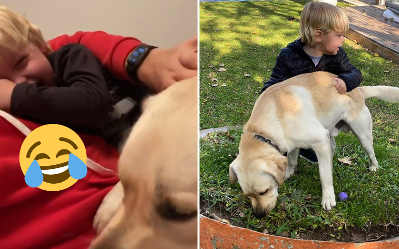 La gran tentada de Mirko jugando con Bailey | Influencers