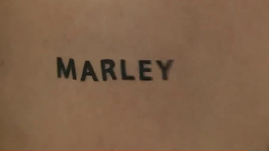 El día que Wanda Nara se tatuó el nombre de Marley | Exclusivos