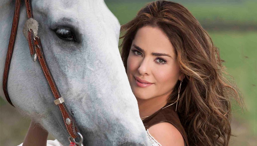 La increíble revelación sobre el caballo de Pasión de Gavilanes | Virales