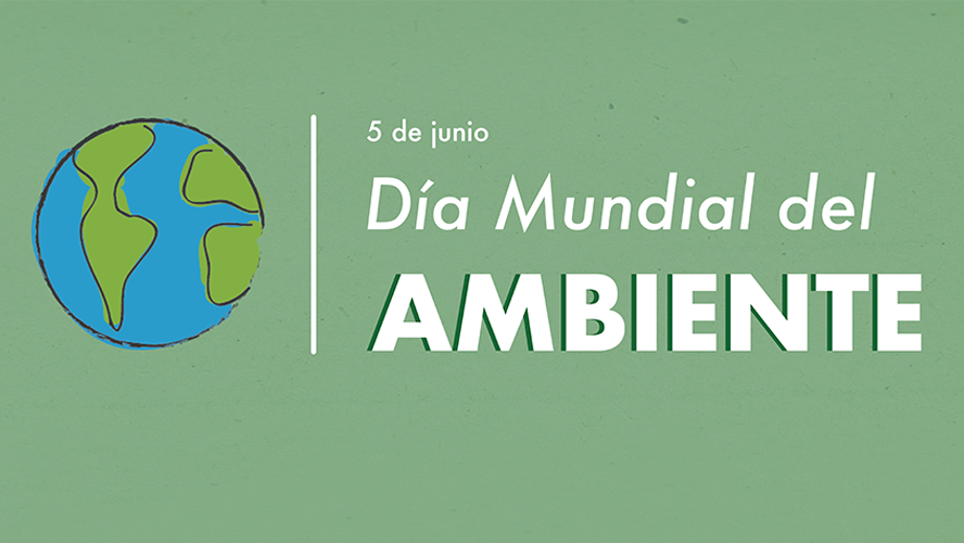 Día Mundial del Medio Ambiente | Sustentabilidad