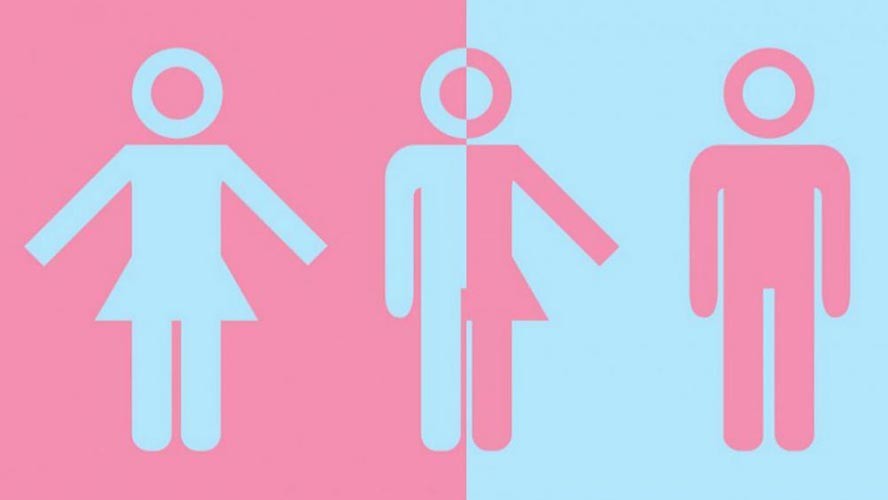 Proponen incorporar una nueva opción en la categoría "sexo" del DNI | Sociedad