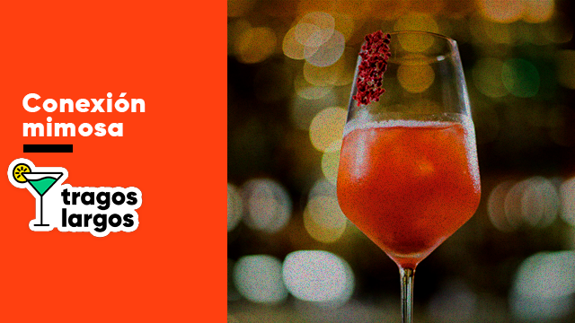 Conexión mimosa | Espirituosas