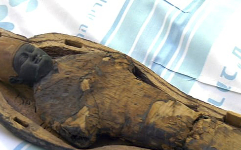 Descubren en Egipto una momia no humana | Curiosidades