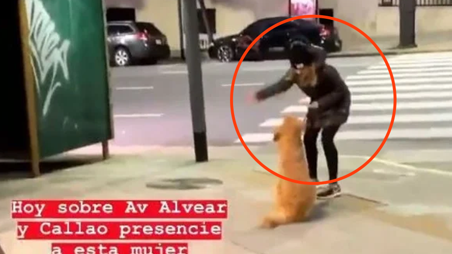 La mujer que golpeó a su perro en la calle, seguirá teniéndolo en su casa y arremetió contra quienes la criticaron | Sociedad