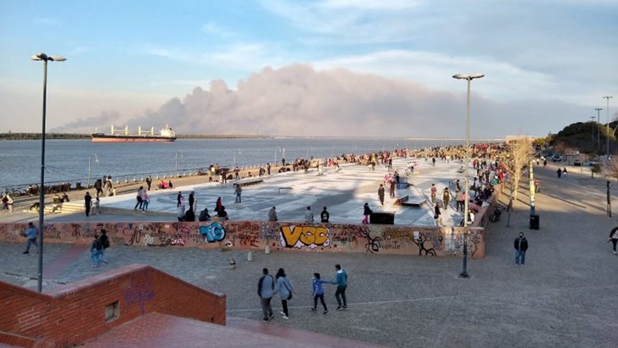 Impactante video de las quemas en las islas del Delta del Paraná | Sociedad