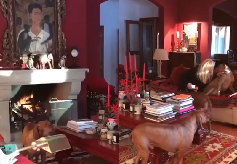 El fantástico living color fuego de Susana Giménez | Espectáculos