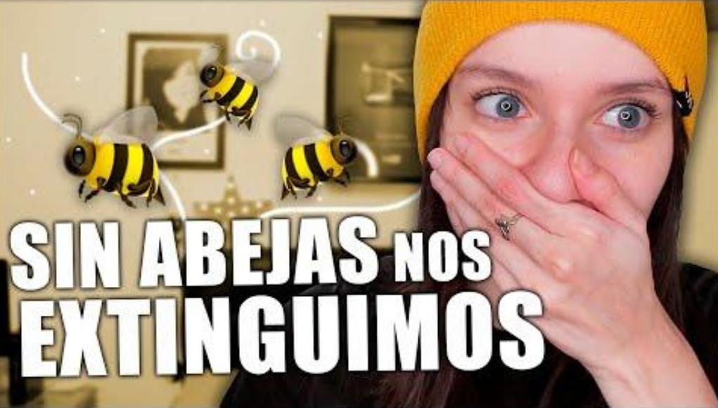 "Sin abejas nos extinguimos": el video de Mica Suárez que es tendencia | Curiosidades