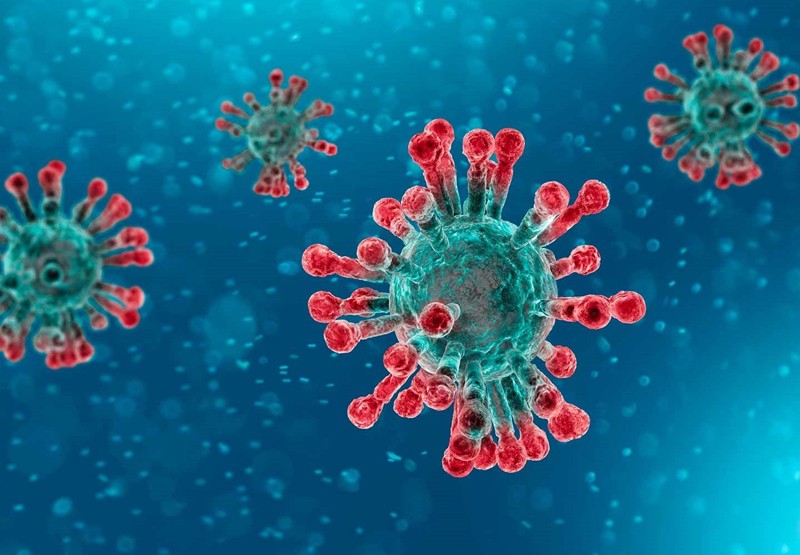 ¿”El” Covid o “la” Covid? ¡Esto sentenció la RAE! | Sociedad