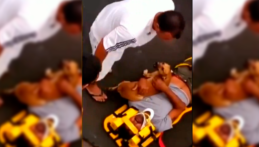 El perro más fiel del mundo: acompañó a su dueño mientras lo llevaban los paramédicos | Virales