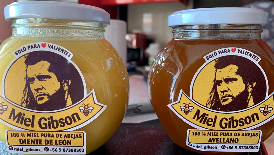 "Miel Gibson": un emprendimiento chileno podría ser denunciado por el famoso actor | Virales