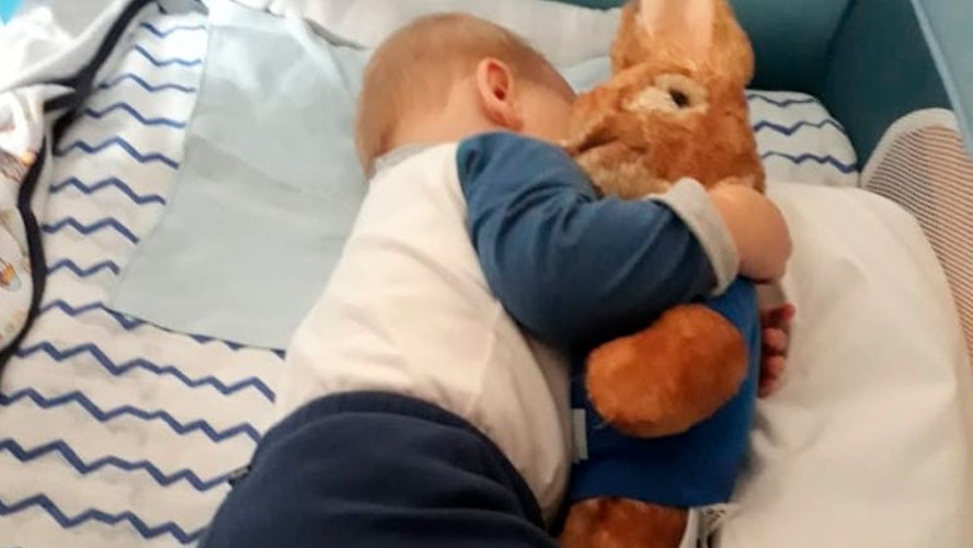 La historia detrás del peluche favorito de Mirko | Exclusivos