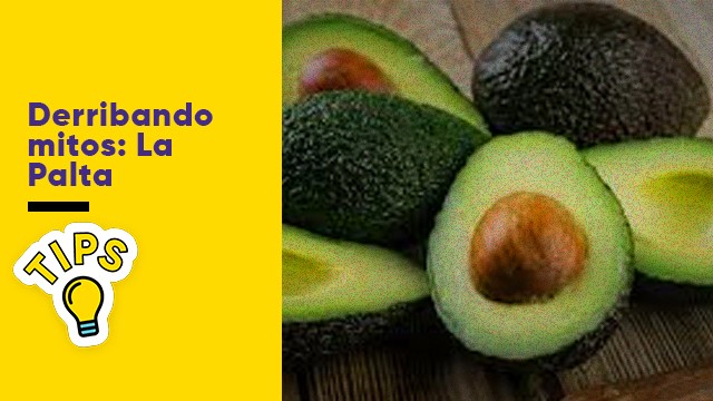 Mitos y verdades sobre la palta | Tips de cocina