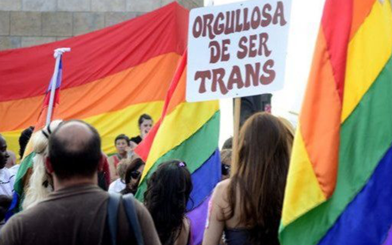 Se aprobó por DNU el cupo laboral trans en el Estado | Sociedad
