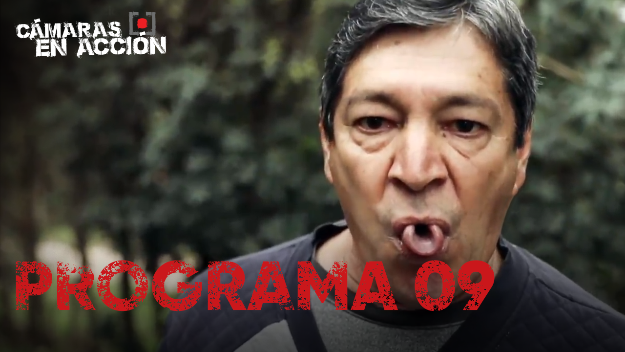 Programa 09 | Programas