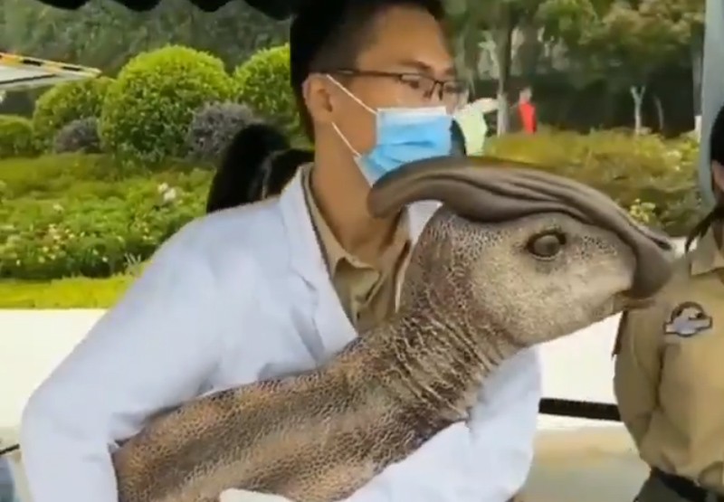 China habría clonado un dinosaurio | Virales