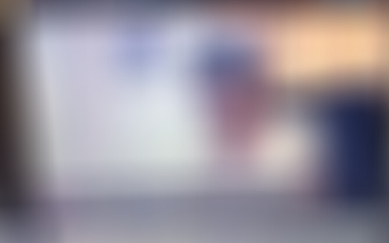 Escándalo: Un diputado paraguayo sesionó desnudo | Sociedad