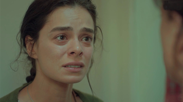 Capítulo 01 | Capítulos